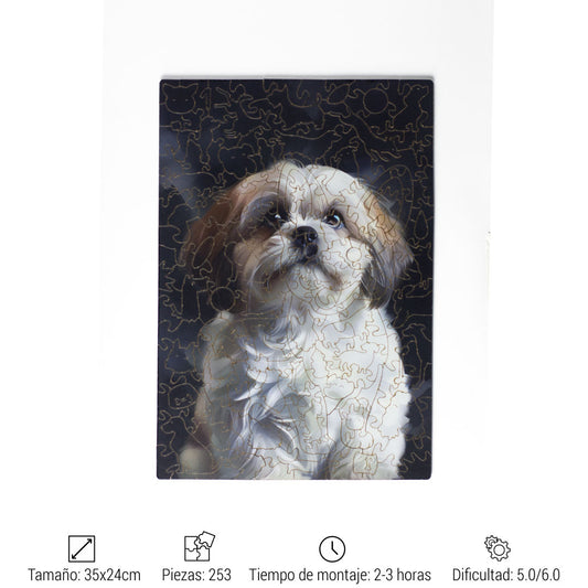 Shih Tzu